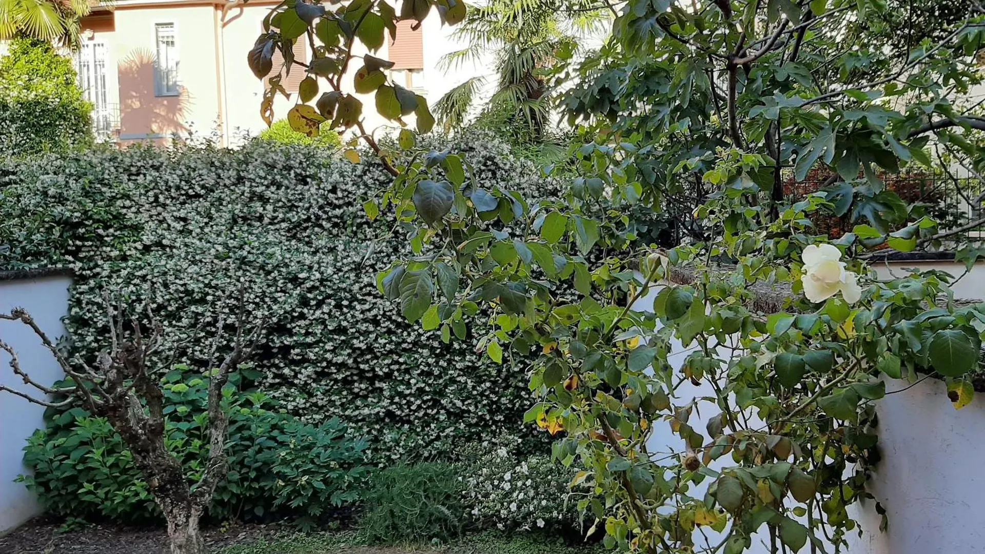 Casa Mari - Free Secure Parking, Breakfast, Private Bathroom, Wifi, Garden, Aircon, 5 Min Walk To Metro And Train Station Milán 0*,  Itálie